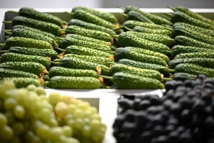 ������-���������� ������������ ������ ���� ��� �� �������� �������� � �������������� ���� �� ������ � 3 �� 9 ������� 2026 ����