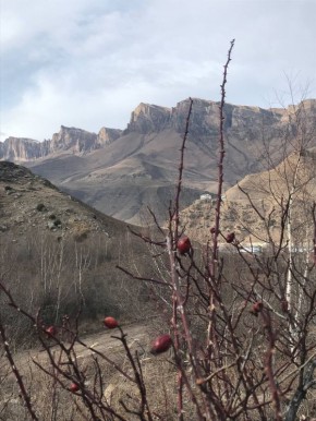 ����������� ���������� ����� � ���