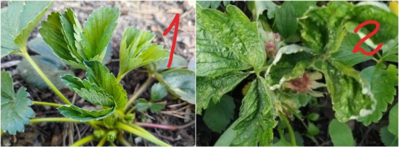 ��� ������ �������� �� ����������: ������ � ����������� ������