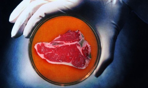 �������� ������� ���: ��� ������� ����� ���������� ������ ������ �� ������������� �������