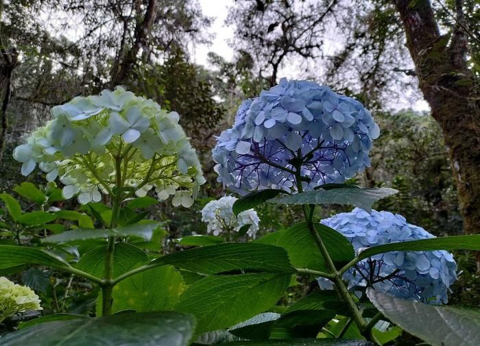 ��� ����������� ��������� � ����: ������ �� ������ �� ������