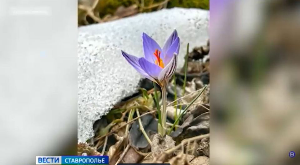 ������ �� ����������� �������� �� ������ ������ �����