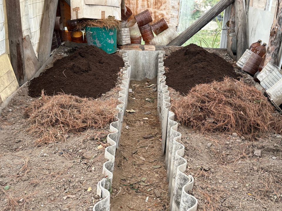 ��� ����������� ������� � ����: ������ � ���������� ���������