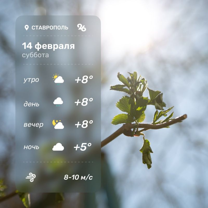 ������ � ���������� 14 �������