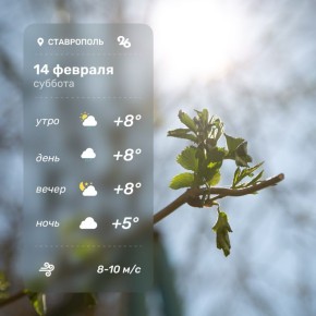 ������ � ���������� 14 �������