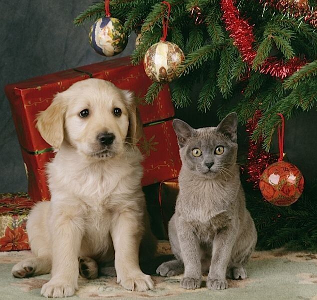 10 ��������� ������ �� �������� ��������: ����������� �� �������� ��������