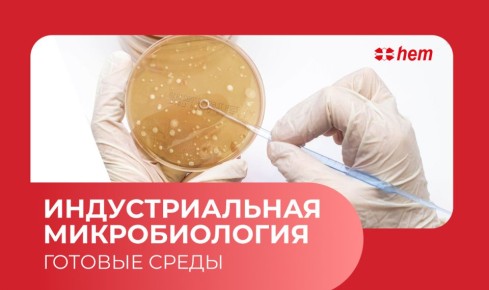 Почему чистота на пищевых производствах важна как никогда