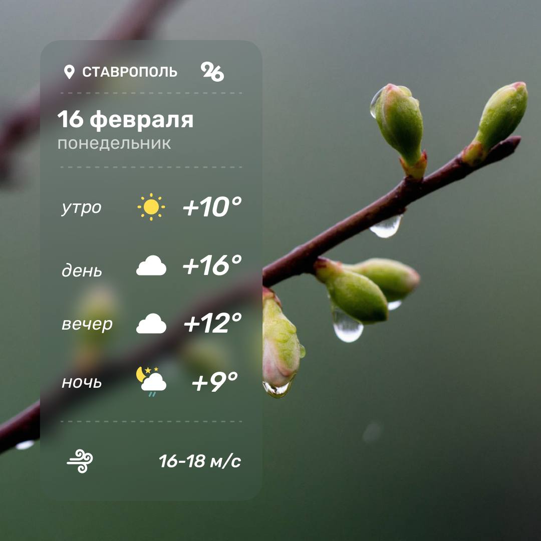 Погода в Ставрополе 16 февраля