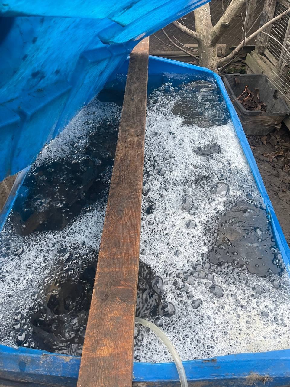 Кировские полицейские выявили факт кражи рыбы семейной парой и охранником рыбхоза Кировские полицейские выявили факт кражи рыбы семейной парой и охранником рыбхоза