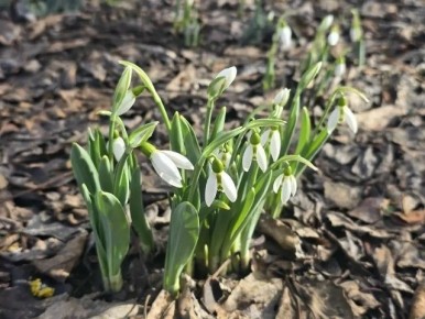 ����� ��� �������� � ����������