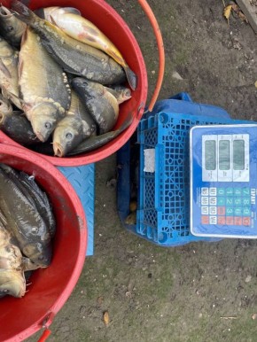 ��������� ����������� ������� ���� ����� ���� �������� ����� � ���������� �������