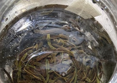 ���� � ������� �� ����������� ����� �� ������������� ����