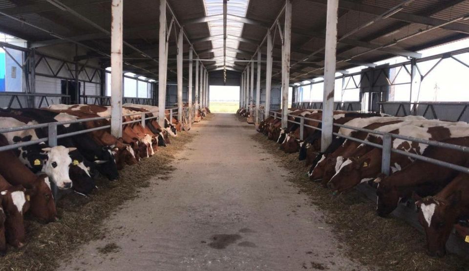 �������������� ������� ������ �������� �������� ������������