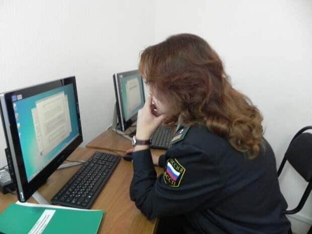 Цифровые рубли под арестом: как судебные приставы смогут изымать задолженности