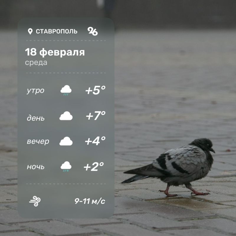 ������ ����!. ������� ����� ����������