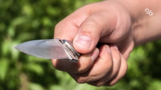 ���� �� ���� ������ ����� � ������ ������ �����������