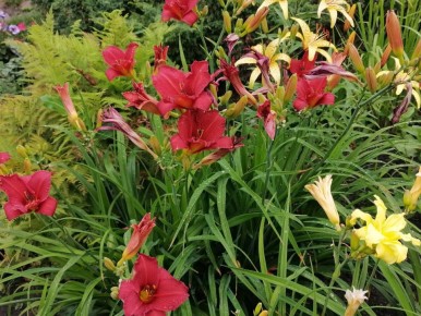 �� � ����������: �� ������� �� �����