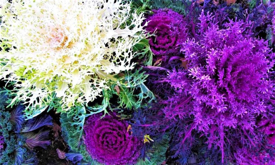 ������� ������ ��� � ������� ������������ �������