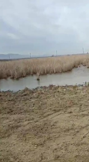 � �������� ��������� ������������� �������� � � ���������� ���� ���� �� ������ ��� ����� ���