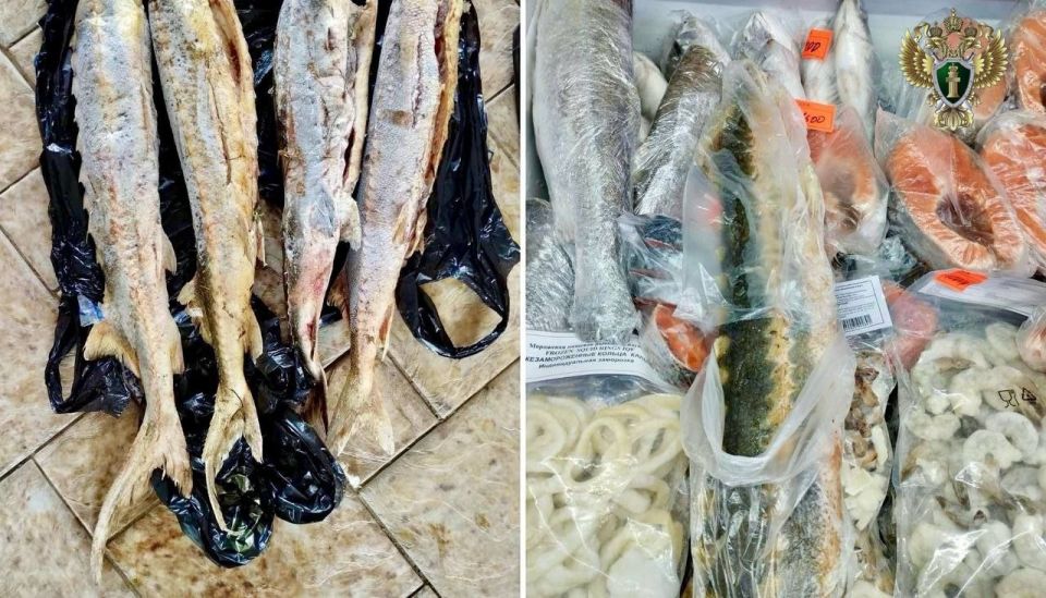 � ����������� ������� �������� �� ���������� ������ ����� ������ ����� ����