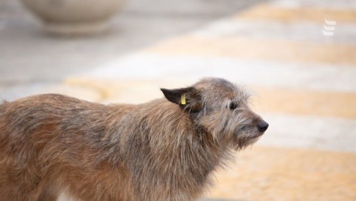 ����������� ������ �� ���������� ������ ����� � �������� ������� �� ������ � ����������