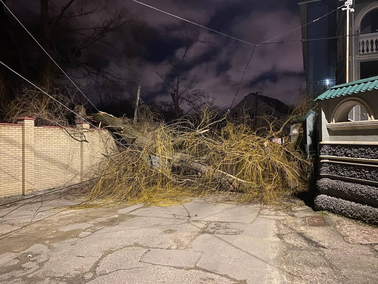 Сильный ветер сносит деревья в Ставрополе