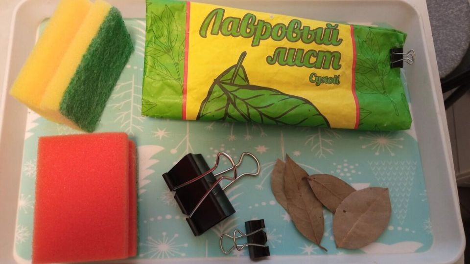 ����� �������� ��� �����, ������� �������� ���� �����