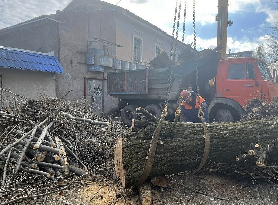 � ���������� ��������� ����������� �������