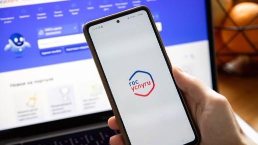 Пенсионеры в?ении: почему выплаты в Госуслугах не всегда соответствуют реальности