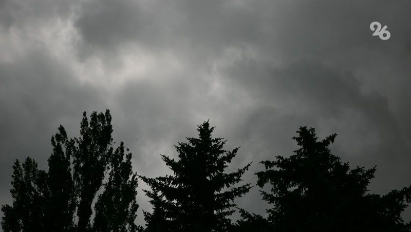 ����������� ������������ � ���� �� ��������