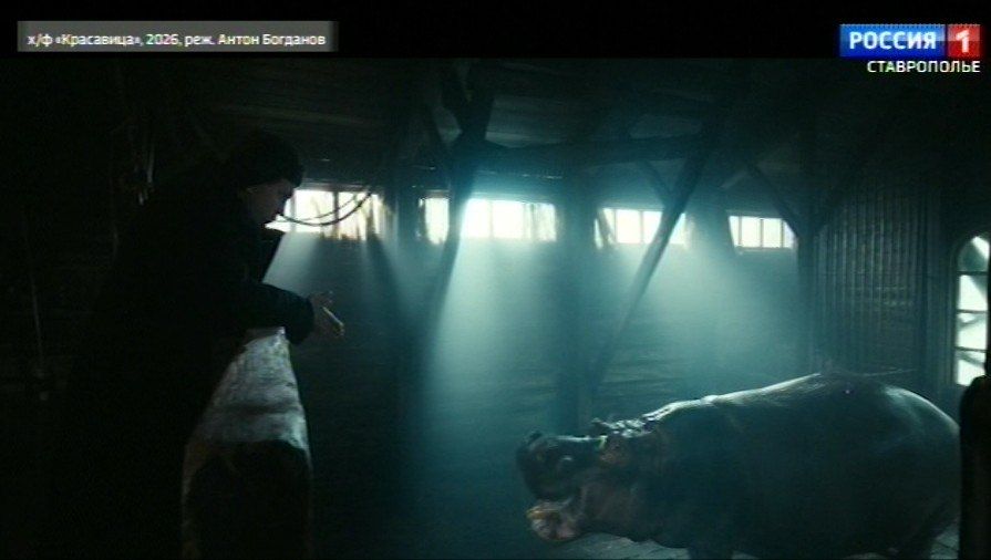 ������������� ������� � �������: ������ �������� �������� ����� �����