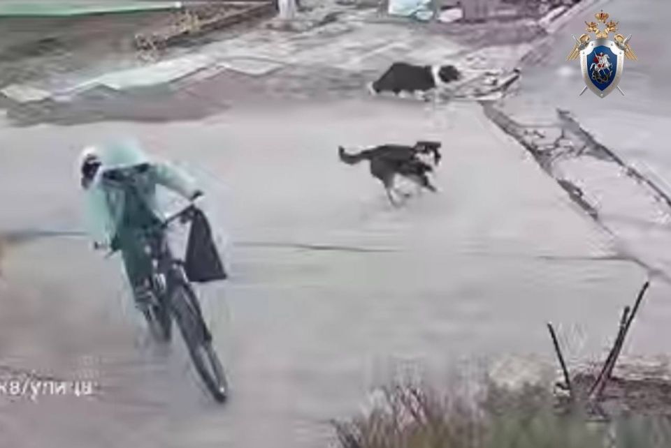 � ���������� ����� ��������� ����� �� ������ ��������� ��������� ����