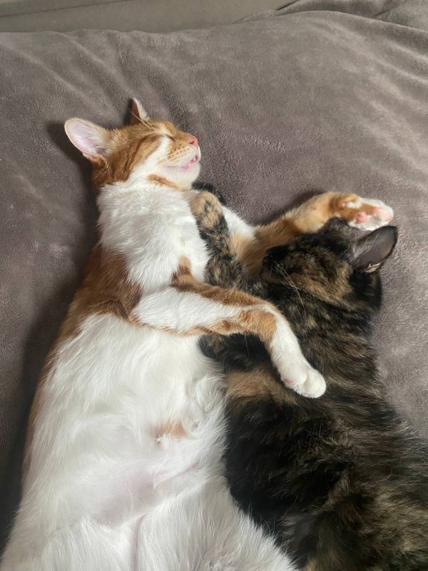 ���� � �������� �������� ������ �������� � �������� ���� �����