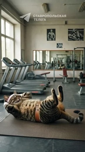 ����� ��� ������� ������, ����� �������� ���� �����