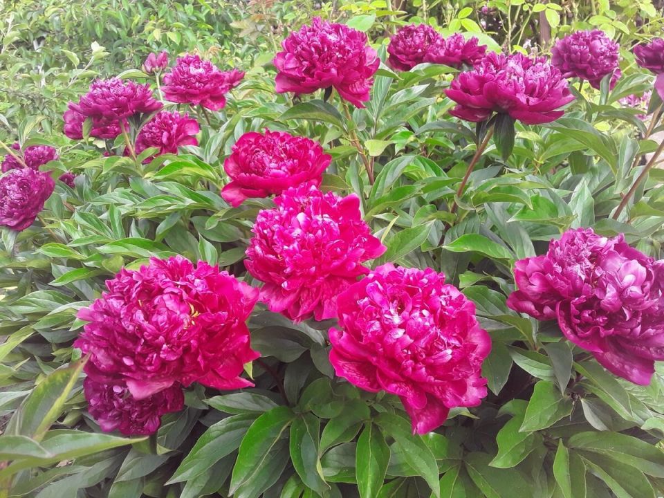 ��� ���� �� �����: ��� ����� ���������� ���!� ������� ������ ���������