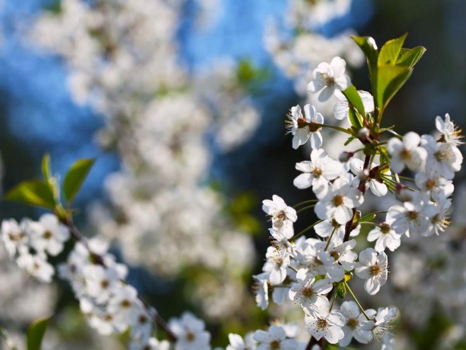 ����� ������������: ��� ���������� �� ������ � ������� ����