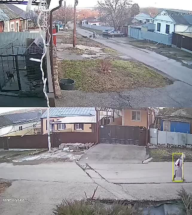 Стая бездомных собак напала на мальчика в Ессентуках