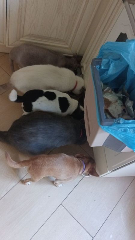 � ���� �� ����������!. ���������� ����� ������ ��� ���������� ������� ���� @stavtelega_bot @svoetv