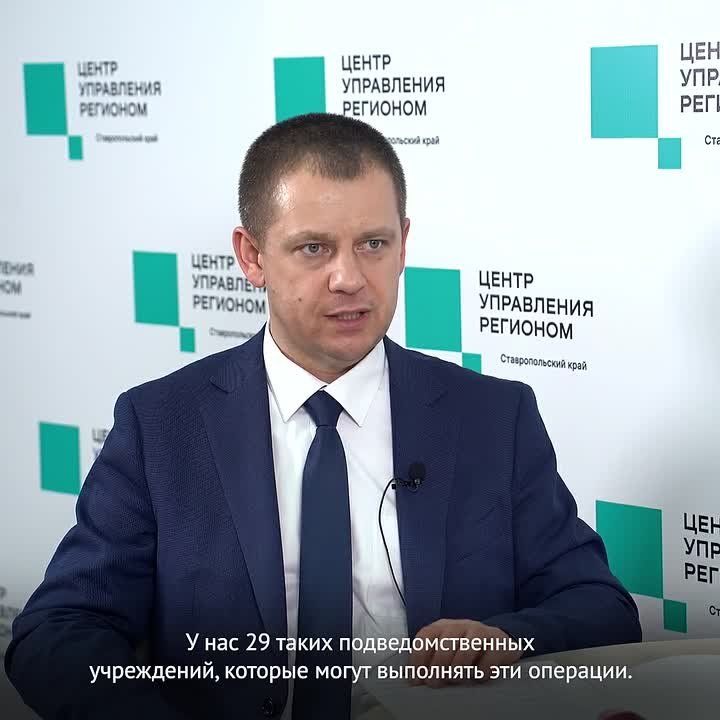 Льготная стерилизация для животных: как воспользоваться услугой?