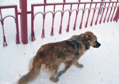 � ���������� ������� ����� � �������� ����� ��������� ��������� �����