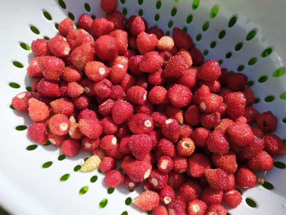 �������� ���������: �������� ��������� ���� ��� ����