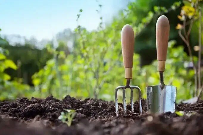 ������ ���������, � ������� ����� ������: �������� ������ �� ������� ������