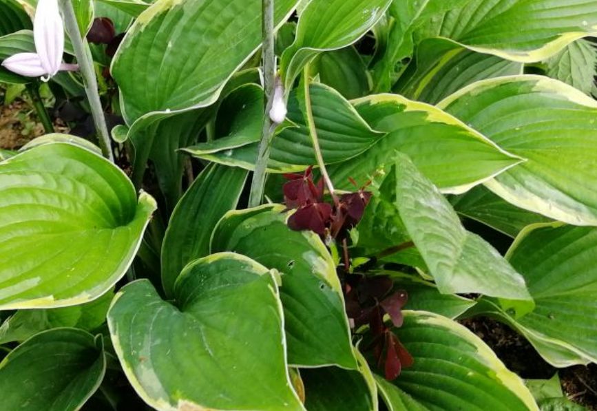 ������� �� ������ �������: ������ ��� �����?