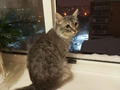 ��������� �������, ����� � ������ ������