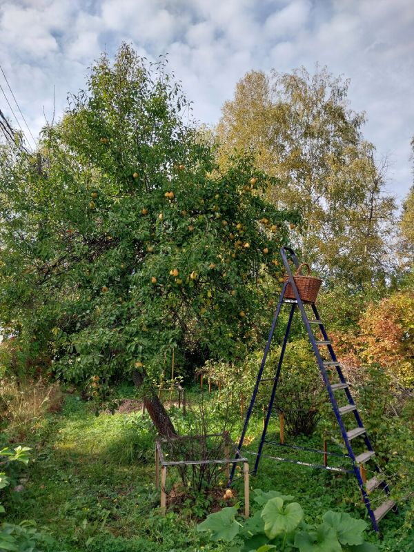 �������� ������: ��� ���� ������� ������� � ������ �����