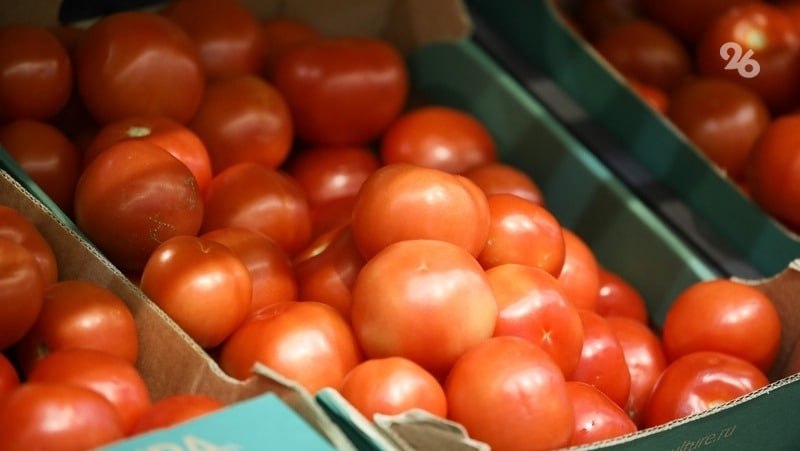 Помидоры на Ставрополье в январе подорожали из-за холодной погоды — Банк России