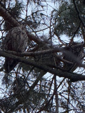 ���� � ������������� ������� ������������ ���� ������ � ��������� � ��������� ���������