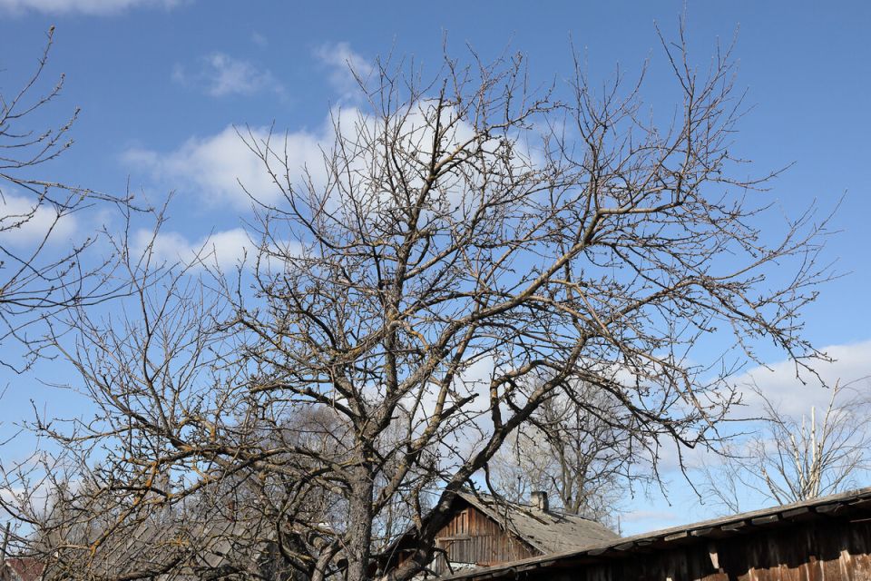 ��� ������� ����� ������ ������ � ��������� ������ ����