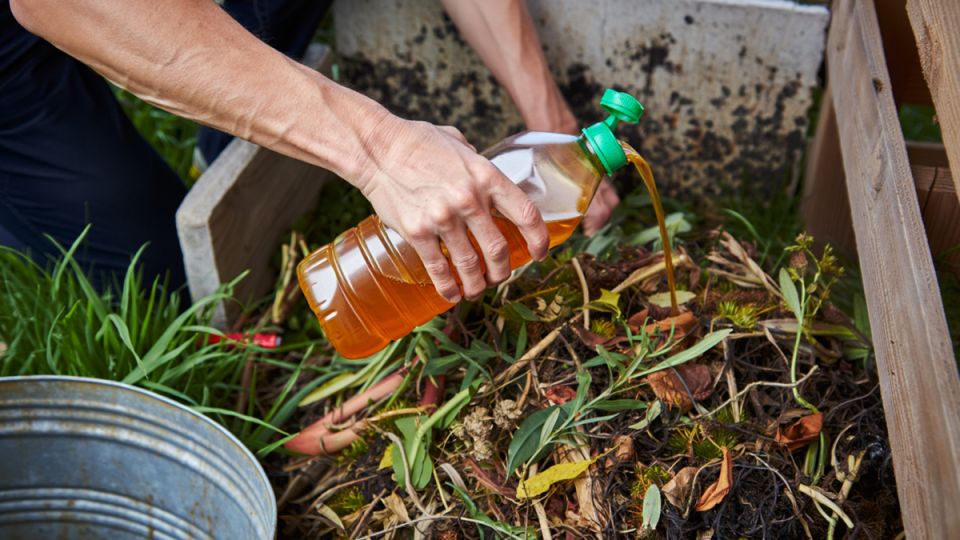 ��� ������������ ������� ���� �����: ������������ ������