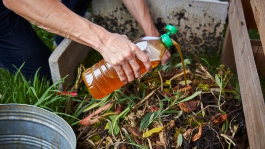 Как активировать компост даже зимой: удивительный секрет